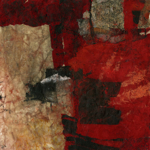 Michelle Oppenheimer
