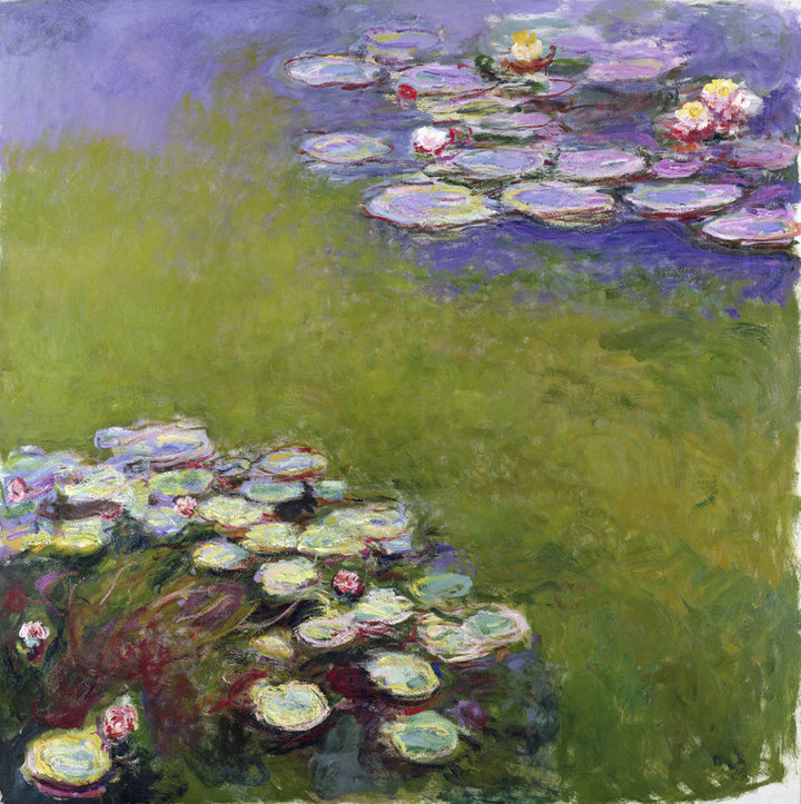Waterlilies