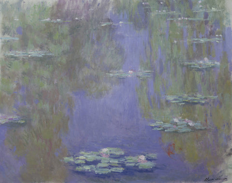 Waterlilies