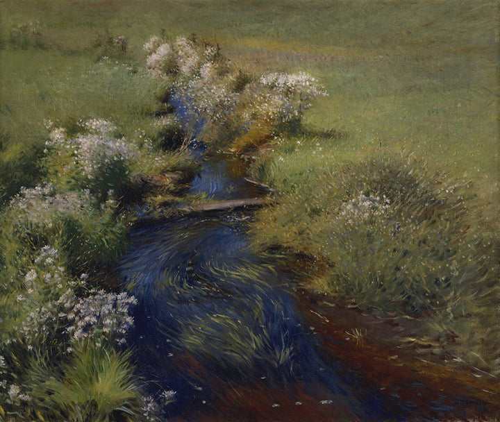 Wild Asters