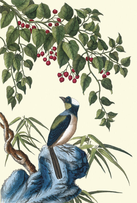 Smilax with bird