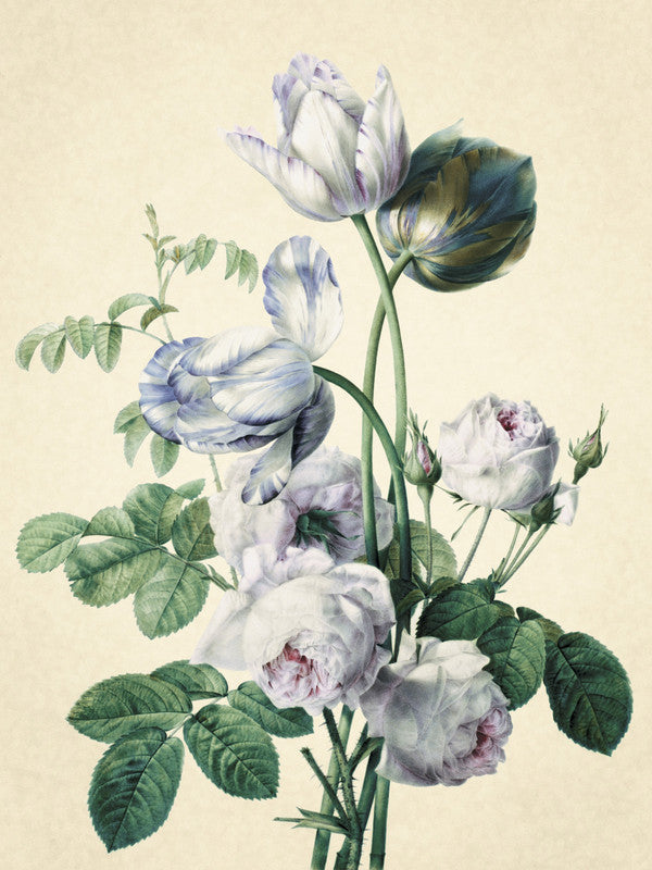Tulips and Roses