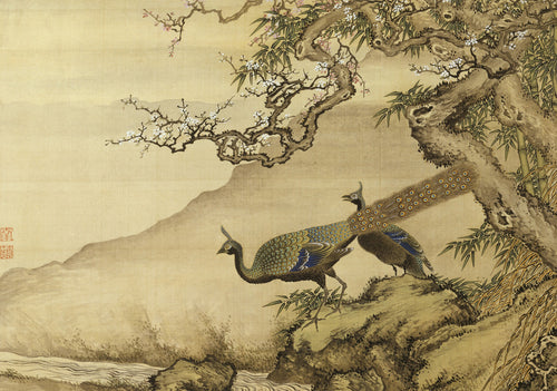 Album of Birds and Animals (Peacocks)