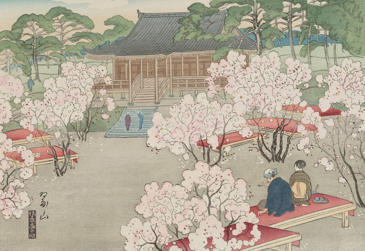 Cherry Blossoms at Omuro