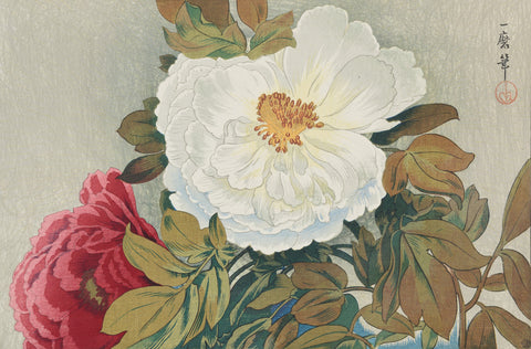 Peonies (Botan)