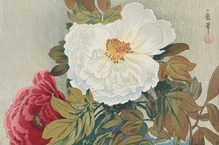 Peonies (Botan)