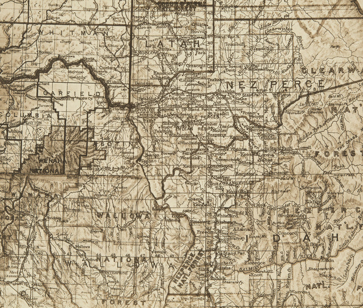 Map of Nez Perce Territory (The North American Indian, v. VIII. Norwood, MA: The Plimpton Press, 1911)