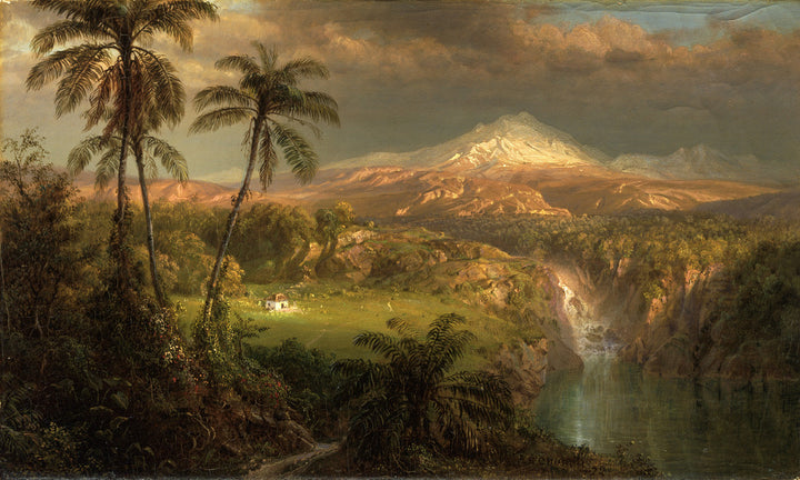Passing Shower in the Tropics