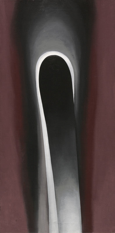 Jack-in-the-Pulpit No. VI