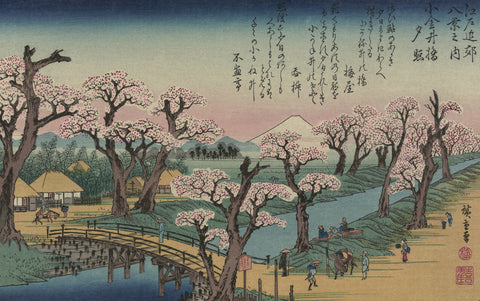 Evening Glow at Koganei Bridge
