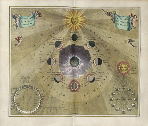 Plate 19 from Harmonia Macrocosmica
