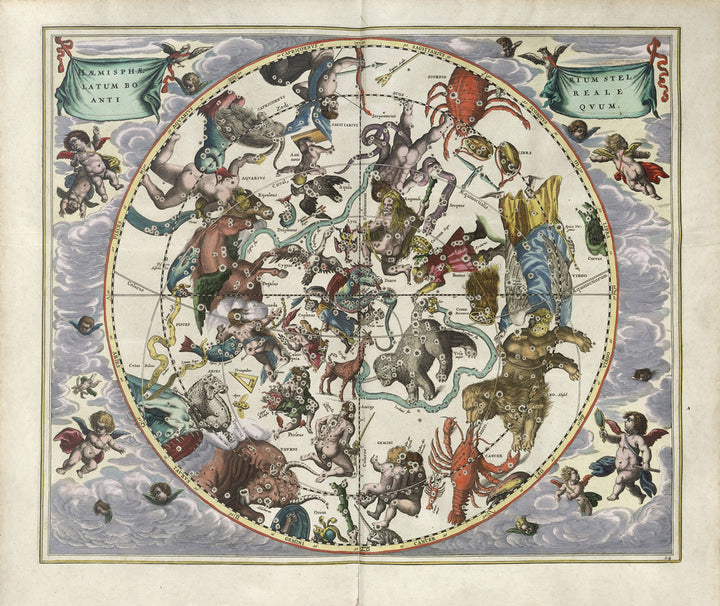 Plate 24 from Harmonia Macrocosmica