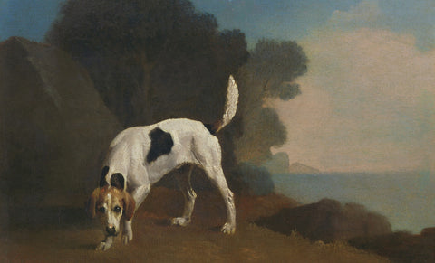 Foxhound