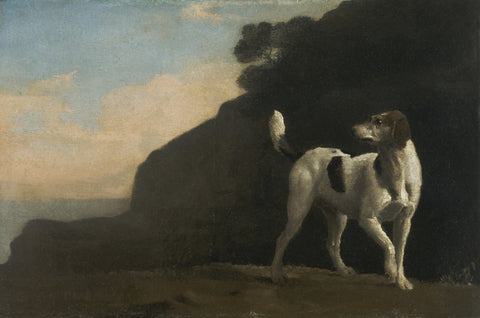 Foxhound