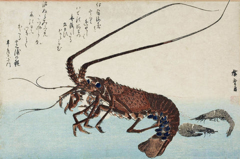Shrimp and lobster