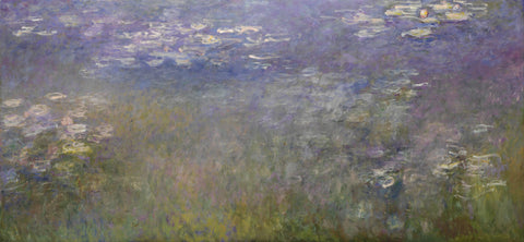 Water Lilies