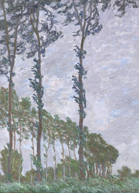 Wind Effect, Series of The Poplars