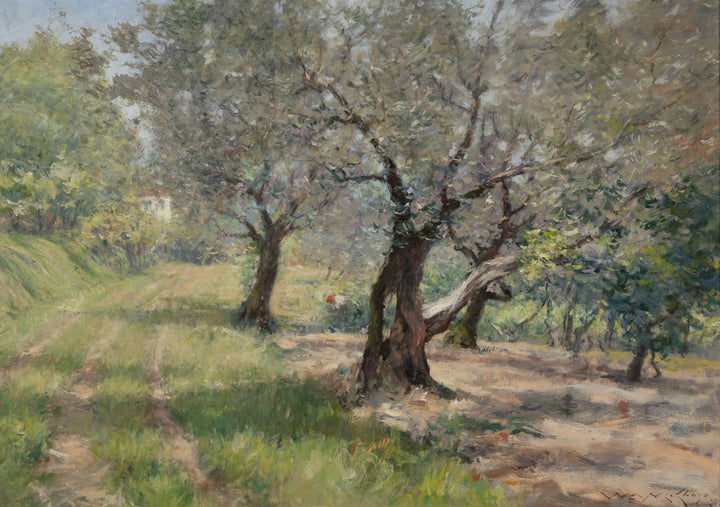 The Olive Grove