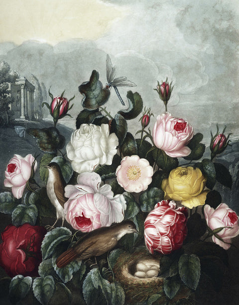 Roses