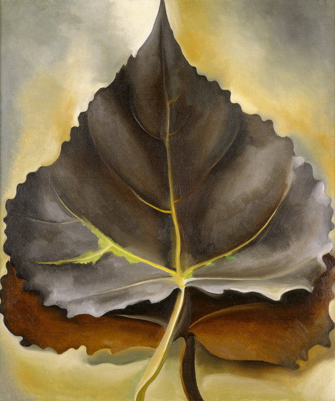 Grey and Brown Leaves
