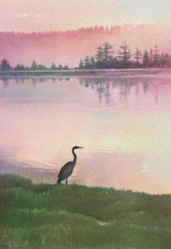 Lopez Heron