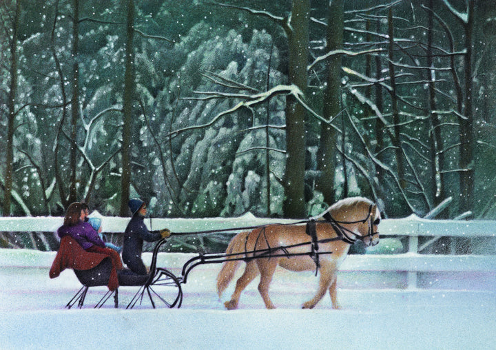 Sleigh Ride