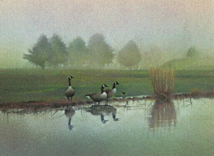 Watch Hill Geese