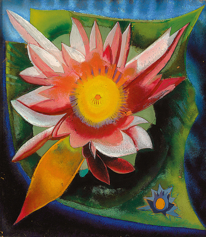 The Water Lily