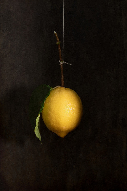 Hanging Lemon