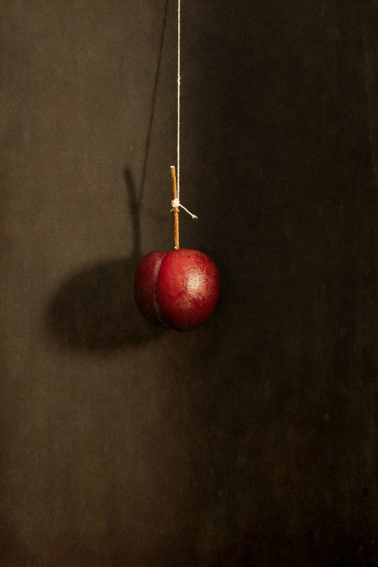Hanging Plum