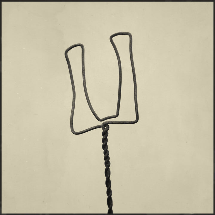 Whisk 8