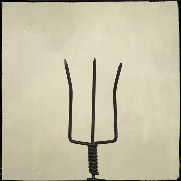 Whisk 15