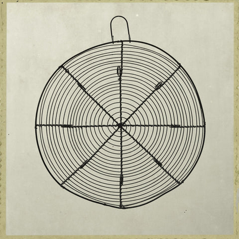 Whisk 17