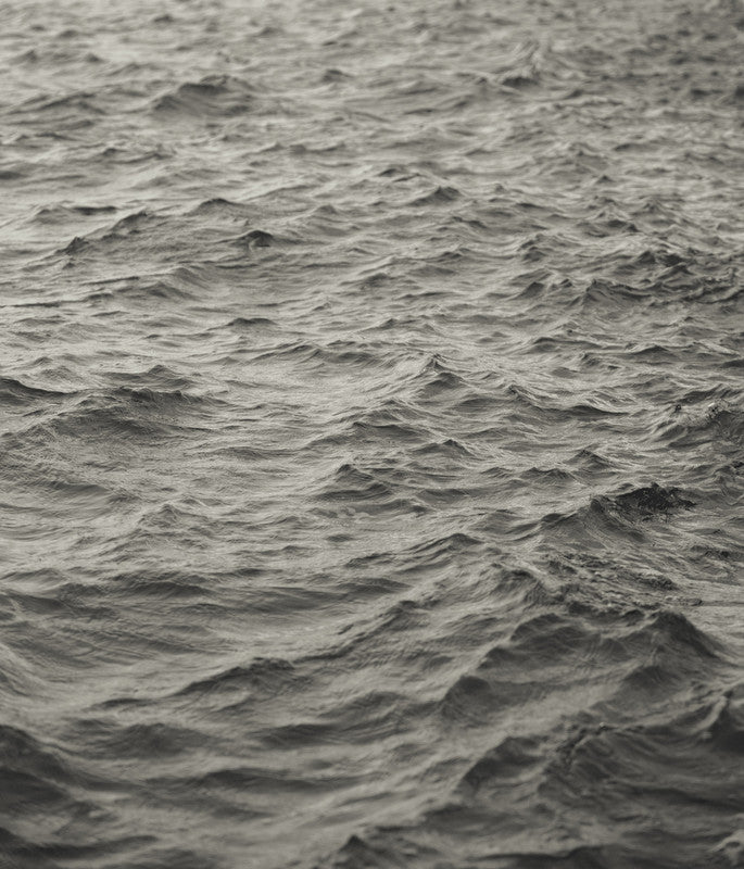 Nantucket Wave Study