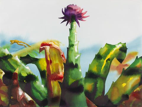 Bromeliad