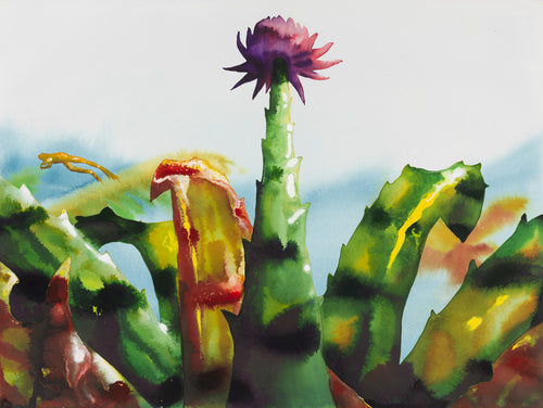Bromeliad