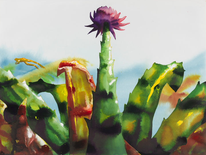 Bromeliad