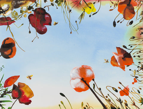 Poppies
