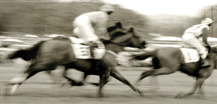 Steeple Chase 1