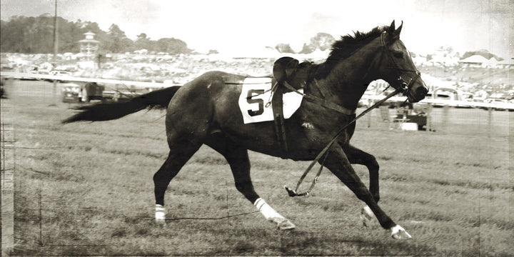 Steeple Chase No.5