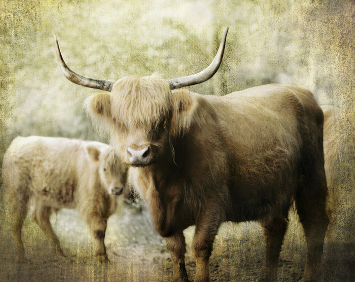 The Protector