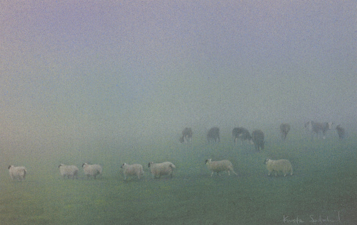 Scottish Line Up