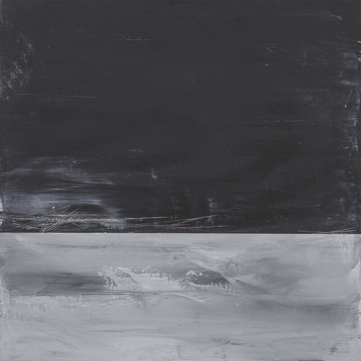 LS No. 217