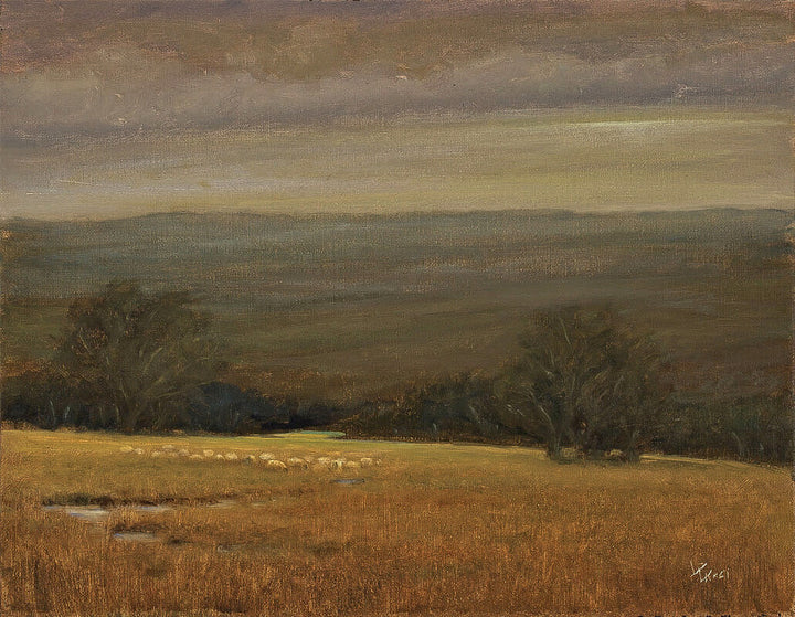 Wooly Morning